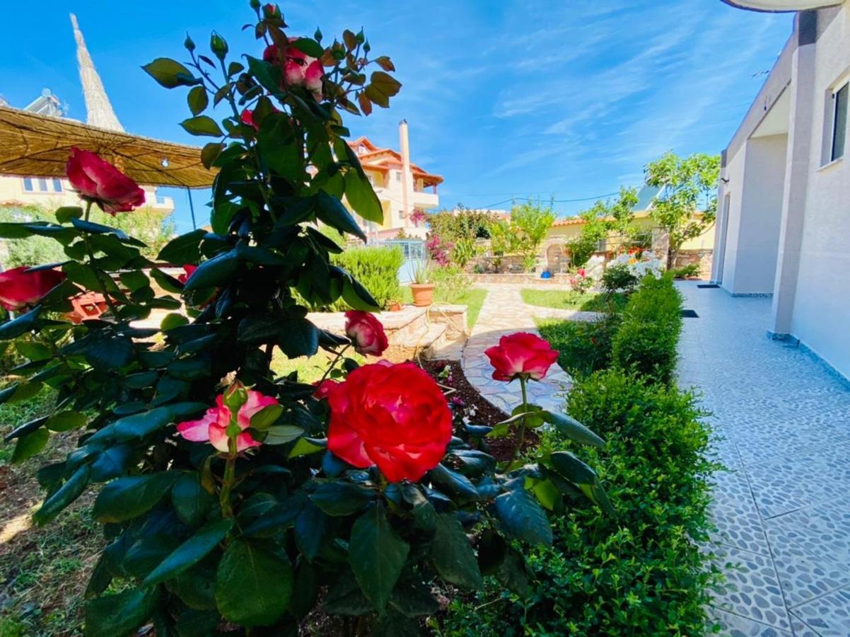 Guesthouse Cankaj Εξαμίλιο Εξωτερικό φωτογραφία